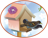 ���������